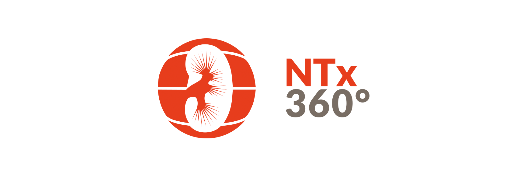 Logo NTX 360°